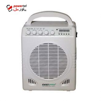 اکوهمراه شارژی ای ای پی پرو مدل PA-3G-60A اکوهمراه شارژی ای ای پی پرو مدل PA-3G-60A