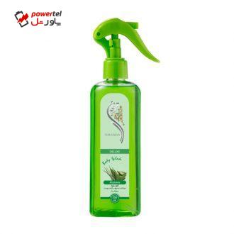 بادی اسپلش مردانه ترنجان مدل DELUXE حجم 250 میلی لیتر بادی اسپلش مردانه ترنجان مدل DELUXE حجم 250 میلی لیتر