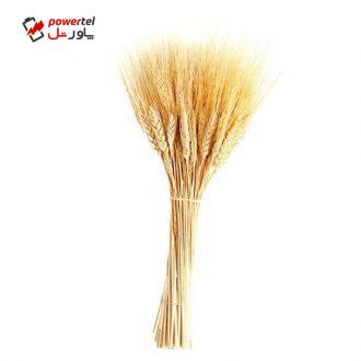 دسته گل خشک مدل خوشه گندم کد 20