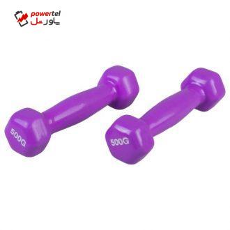 دمبل ایروبیک 0.5 کیلوگرمی بسته دو عددی