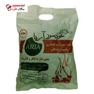ذغال کبابی خودسوز آریا مدل AB07 وزن 1 کیلوگرم