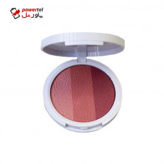 رژ گونه دبورا مدل کیت هرینگ شماره 1