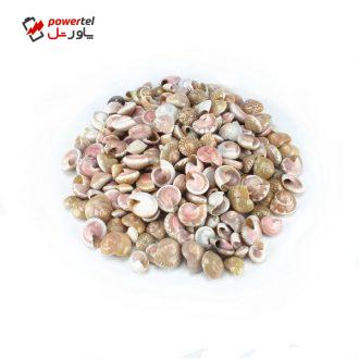 صدف و حلزون تزیینی مدل pink eye بسته 80 گرمی صدف و حلزون تزیینی مدل pink eye بسته 80 گرمی