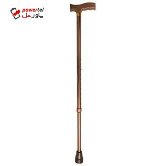 عصا کد S100