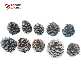 میوه تزیینی درخت کاج مدل P01 بسته ۱۰ عددی میوه تزیینی درخت کاج مدل P01 بسته ۱۰ عددی