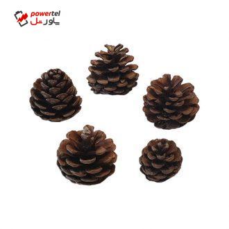میوه تزیینی درخت کاج کد hyt5 مجموعه 5 عددی