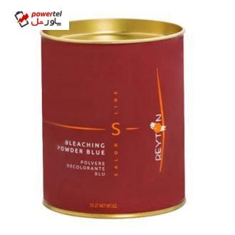پودر دکلره ریتون مدل Salon Line وزن 1000 گرم پودر دکلره ریتون مدل Salon Line وزن 1000 گرم