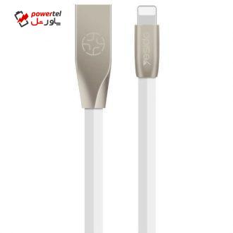کابل تبدیل USB به لاتنینگ یسیدو مدل CA01 طول 1.2 متر کابل تبدیل USB به لاتنینگ یسیدو مدل CA01 طول 1.2 متر