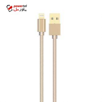 کابل تبدیل USB به لایتنینگ الدینیو مدل LS24 طول 1 متر کابل تبدیل USB به لایتنینگ الدینیو مدل LS24 طول 1 متر