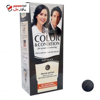 کیت رنگ مو بیگن سری Soft Black حجم 180 میلی لیتر رنگ دودی