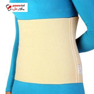 گرم کن کلیه طب و صنعت کد 63300 گرم کن کلیه طب و صنعت کد 63300