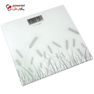 ترازو دیجیتال هایتک مدل HI-DS42-A