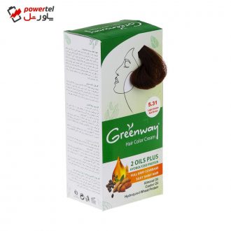 کیت رنگ مو گرین وی شماره 5.31 حجم 50 میلی لیتر رنگ قهوه ای دودی طلایی