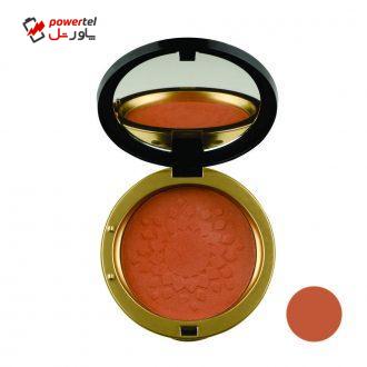 رژگونه روبی سان شماره 253