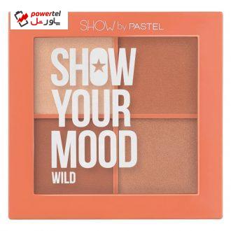 پالت رژگونه پاستل مدل WILD