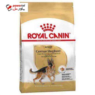 غذا خشک سگ رویال کنین مدل Adult German Shepherd کد 1067 وزن 11 کیلوگرم غذا خشک سگ رویال کنین مدل Adult German Shepherd کد 1067 وزن 11 کیلوگرم