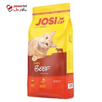 غذای خشک گربه جوسرا مدل Beef وزن 18 کیلوگرم غذای خشک گربه جوسرا مدل Beef وزن 18 کیلوگرم