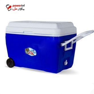 یخچال سفری سراب مدل LI 60 گنجایش 60 لیتر