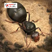 The Ants: Underground Kingdom؛ امپراطوری دنیای مورچه‌ها