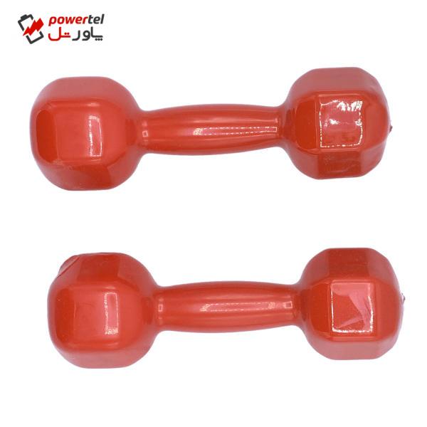 دمبل لاين کد L03 وزن 3 کیلوگرم بسته ۲ عددی