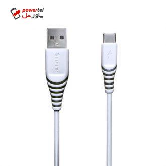 کابل تبدیل USB به USB-C دلفین مدل T-03 طول 1 متر